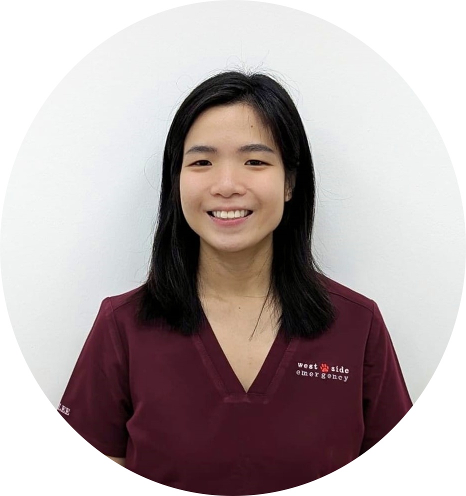 Dr Lee Xiaojia